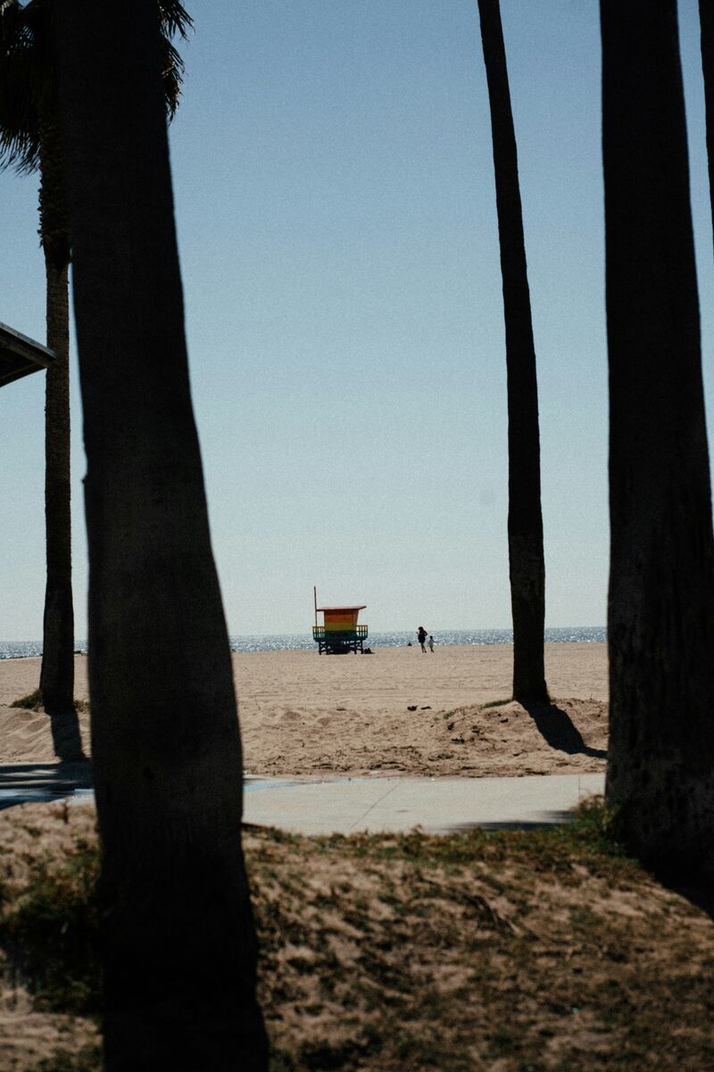 Venice Beach boardwalk and oceanfront with palm trees and blue sky