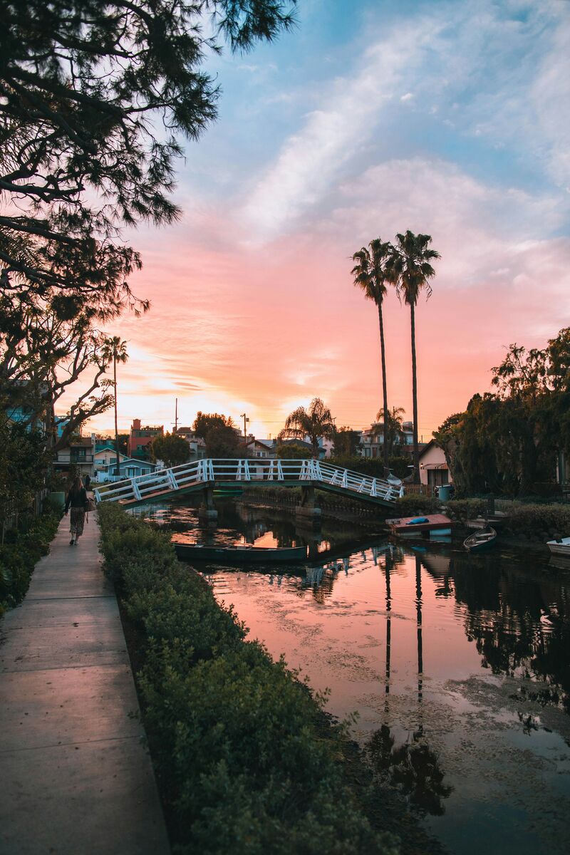 Venice Canal Historic District with arched pedestrian bridges and waterfront homes